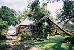 Strong,Louise-WindStorm-Jul2003-R1-050-23A.jpg