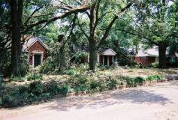 Strong,Louise-WindStorm-Jul2003-R1-054-25A.jpg