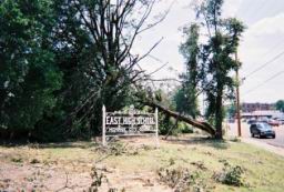 Strong,Louise-WindStorm-Jul2003-R1-068-32A.jpg