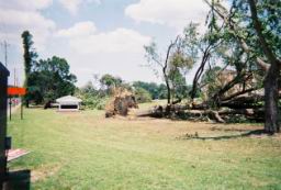 Strong,Louise-WindStorm-Jul2003-R1-076-36A.jpg