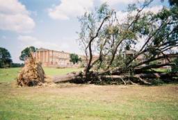 Strong,Louise-WindStorm-Jul2003-R1-078-37A.jpg